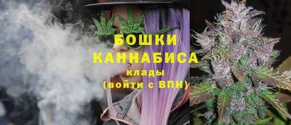 PSILOCYBIN Алзамай