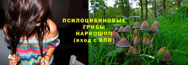 PSILOCYBIN Алзамай