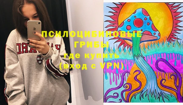 МДПВ Алексин