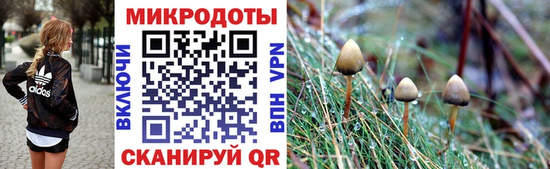 blacksprut как войти  продажа наркотиков  Нолинск  Псилоцибиновые грибы мухоморы 